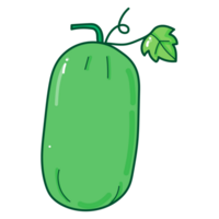 Winter Melon cartoon doodle png