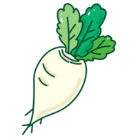 radish cartoon doodle png