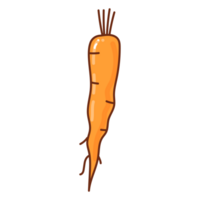 carrot cartoon doodle png