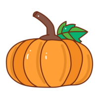 pumpkin cartoon doodle. png