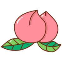 peach cartoon doodle png