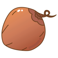 Noce di cocco cartone animato scarabocchio png