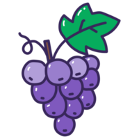 grape cartoon doodle png