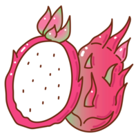 Dragon fruit cartoon doodle png