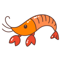 shrimp doodle cartoon png