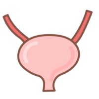 Urinary bladder doodle cartoon png