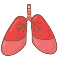 polmone scarabocchio cartone animato png