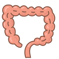 colon doodle cartoon png