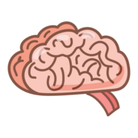 Brain doodle cartoon png