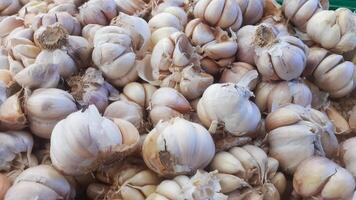 grande pila de ajo en el mercado foto