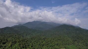 Lush Forest Canopy  Rolling Mountains Aerial  , Earth day video