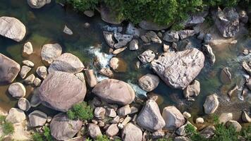 antenne sereen rivier- stromen natuur video