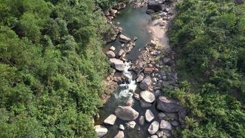 aérien serein jungle rivière intacte beauté video