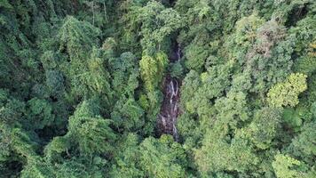 tropical cascata oásis aéreo, sereno fuga video