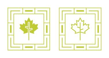 Maple leaf Vector Icon