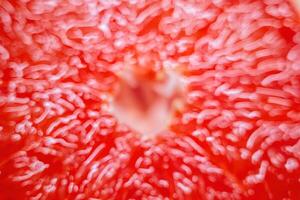 Macro texture of juicy grapefruit with abstract elements photo