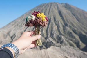 Cropped shot view of someone hand holding flowers for praying and offering to the Hindu god with Mt.Batok in the background, East Java of Indonesia. Popular culture of Indonesian people. photo