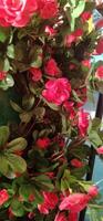 artificial rose flower decoration photo