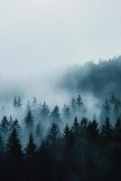 AI generated Forest trees silhouettes in fog, vertical shot. Nature background photo