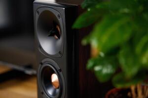 Sound speaker in living room interior photo