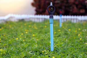 tubería y aspersor sistemas para agricultura lata proporcionar agua en un amplio área, apresamiento el agua dentro corrientes y arremolinándose eso alrededor el árboles, verduras, y jardín plantas. foto