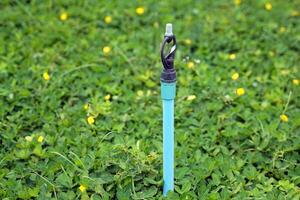 tubería y aspersor sistemas para agricultura lata proporcionar agua en un amplio área, apresamiento el agua dentro corrientes y arremolinándose eso alrededor el árboles, verduras, y jardín plantas. foto