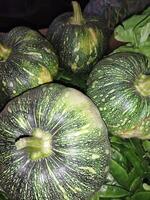 a bunch of green and black squash sitting on top of leaves photo