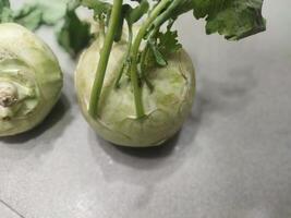 two white vegetables sitting on a tiled floor photo