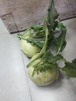 two white vegetables sitting on a tiled floor photo