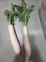 two white radishes sitting on top of a table photo