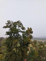 un ver de el río desde un ladera foto