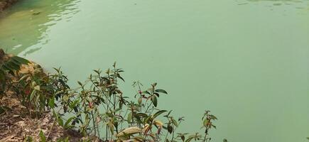 people are standing on the edge of a river photo