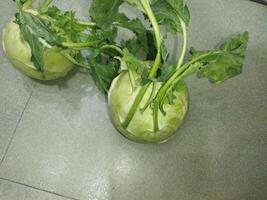 two white vegetables sitting on a tiled floor photo