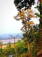 a view of the river from a hillside photo