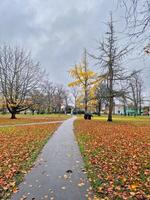 Beautiful autumn scene of a footpath leading towards a tree with yellow leaves in a park in Cambridge, UK photo