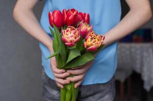 In the hands of a child are colorful red tulips. Boy hiding flowers behind his back photo