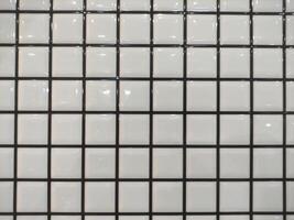Classic White Ceramic Tiles with Black Grout photo
