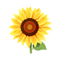 AI generated Radiant Sunflower Blossom Vibrant Yellow Petals, Nature's Beauty Captured in Sunny Field png