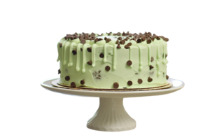 AI generated Mint Chocolate chip cake isolated on png background