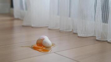 Fresh broken egg in kitchen floor video