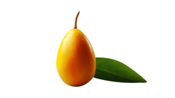 ai genererad loquat isolerat på png bakgrund