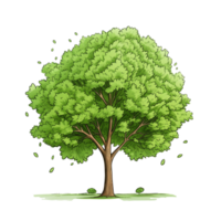 ai generato verde albero, cartone animato clipart, isolato su trasparente sfondo. png