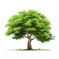 ai generado verde árbol, dibujos animados clipart, aislado en transparente antecedentes. png