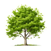 ai generado verde árbol, dibujos animados clipart, aislado en transparente antecedentes. png