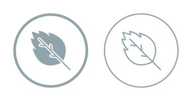 Oak leaf Vector Icon