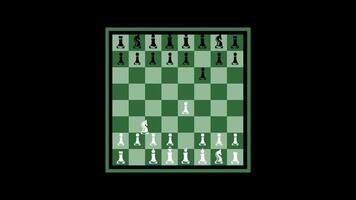 4k chess game animation video. animated vector chessboard with chess pieces video