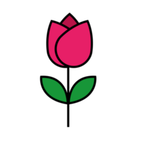 Cute tulip icon. Flower. png