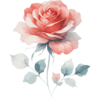 ai généré Rose floral printemps aquarelle frontière décoration art. png