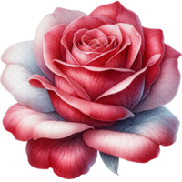 ai gerado rosa floral Primavera aguarela fronteira decoração arte. png
