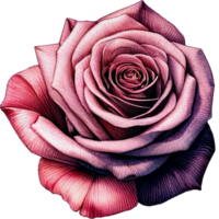 AI generated Rose floral spring watercolor border decoration art. png